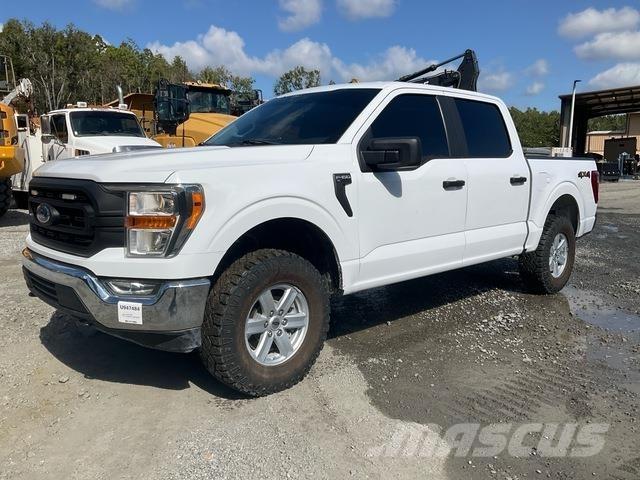 Ford F-150 Madelkaubikud