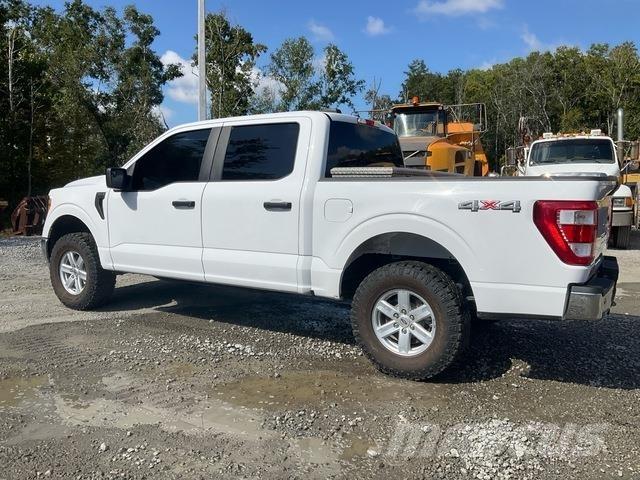 Ford F-150 Madelkaubikud