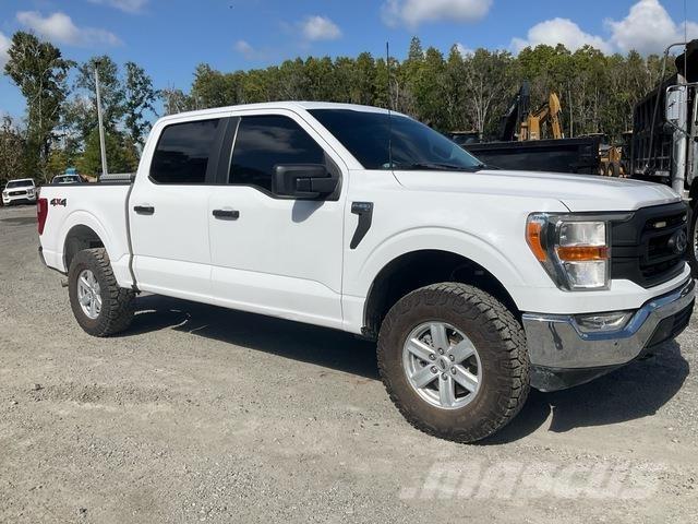 Ford F-150 Madelkaubikud