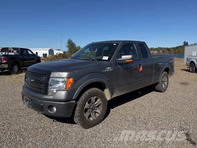 Ford F-150 Madelkaubikud