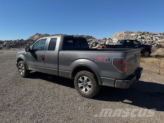 Ford F-150 Madelkaubikud