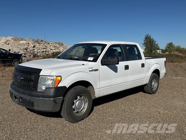 Ford F-150 Madelkaubikud