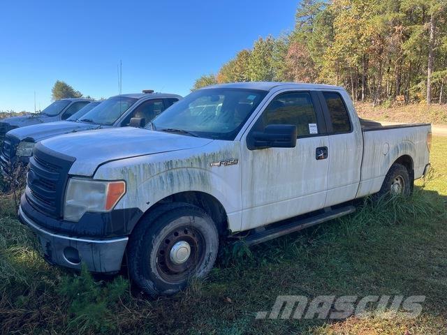 Ford F-150 Madelkaubikud