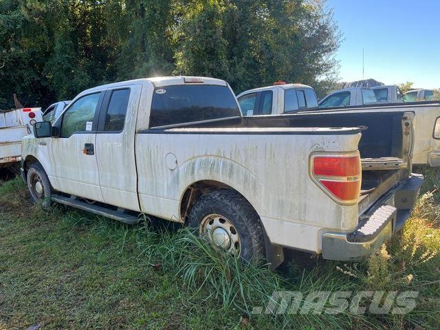 Ford F-150 Madelkaubikud