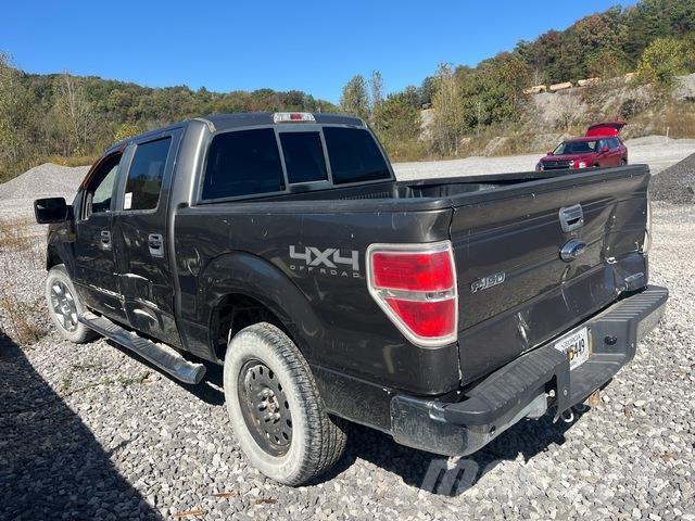 Ford F-150 Madelkaubikud