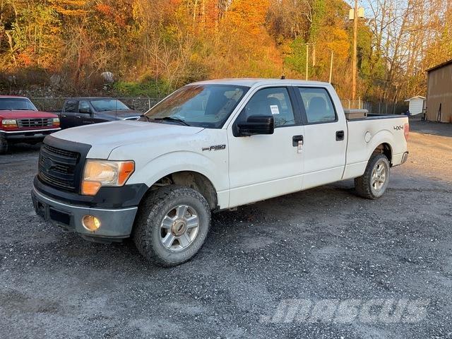 Ford F-150 Madelkaubikud