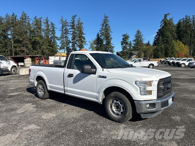 Ford F-150 Madelkaubikud