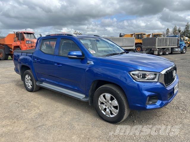 LDV T60 Madelkaubikud