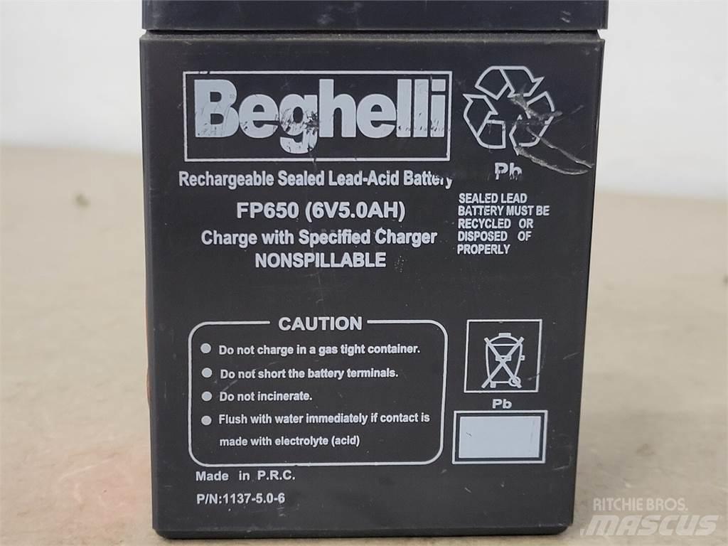  BEGHELLI FP650 Akud