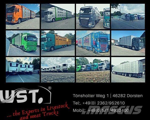 Eggers HTP Plane Tenthaagised