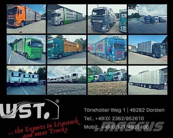 Kässbohrer  Tenthaagised