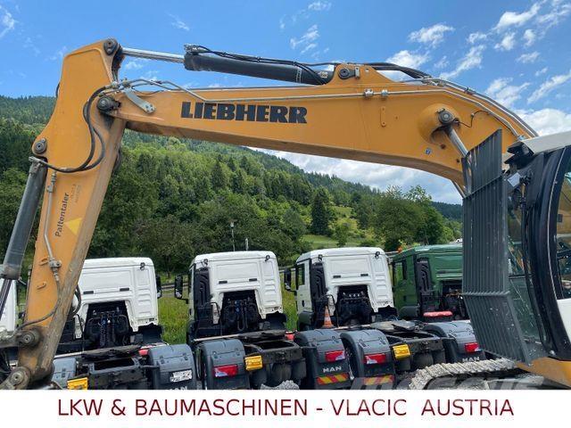 Liebherr R 924 LC Roomikekskavaatorid