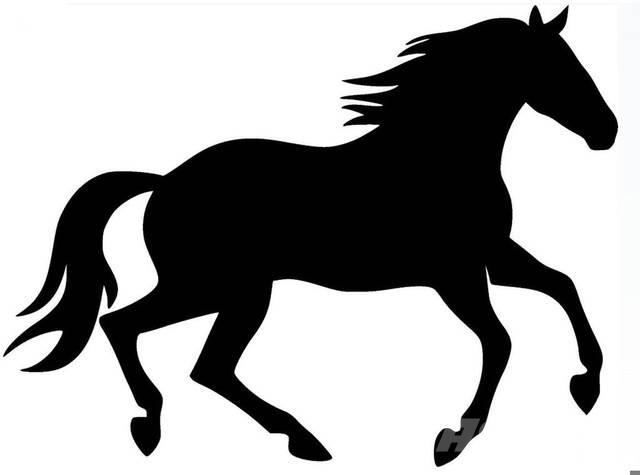  Dark Bay Stallion Muu