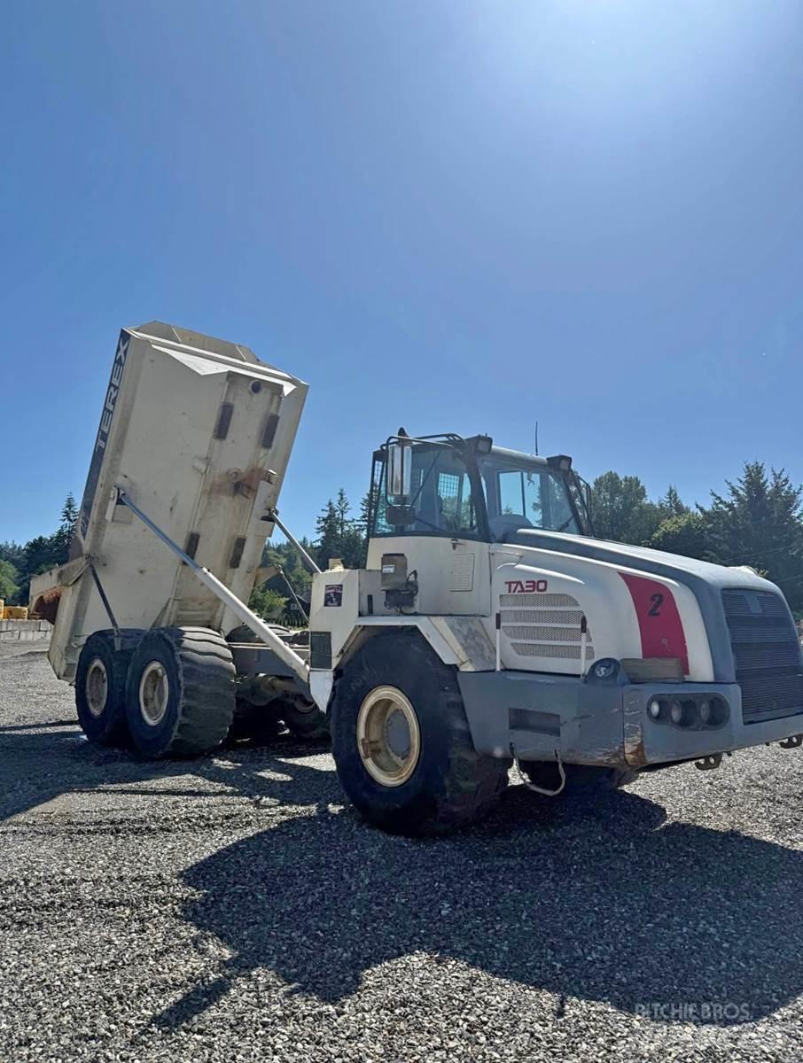 Terex TA30 Kaubikud