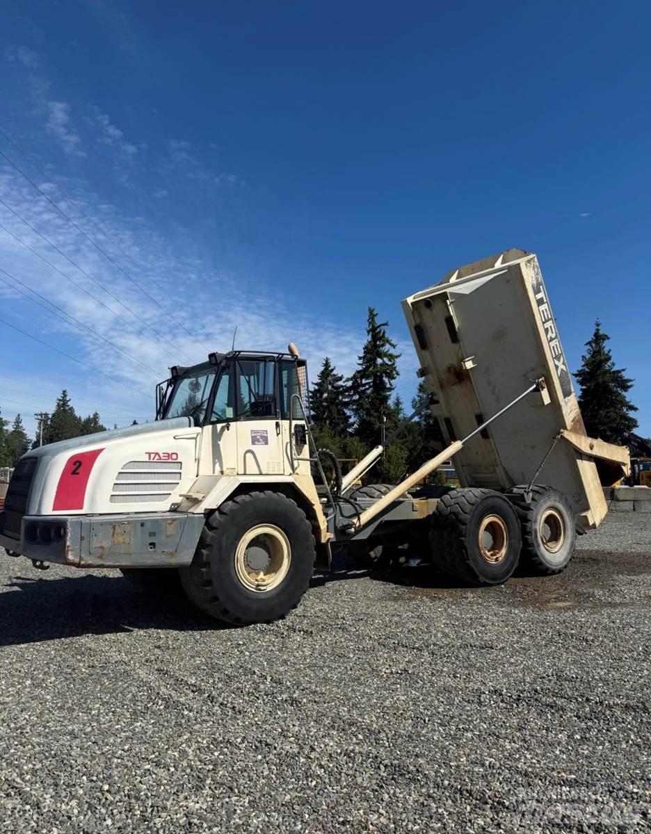 Terex TA30 Kaubikud