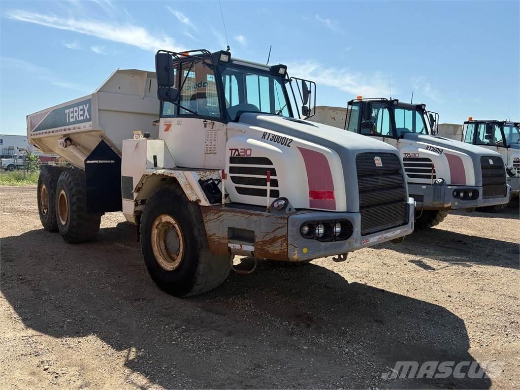 Terex TA30 Liigendraamiga pinnaseveokid
