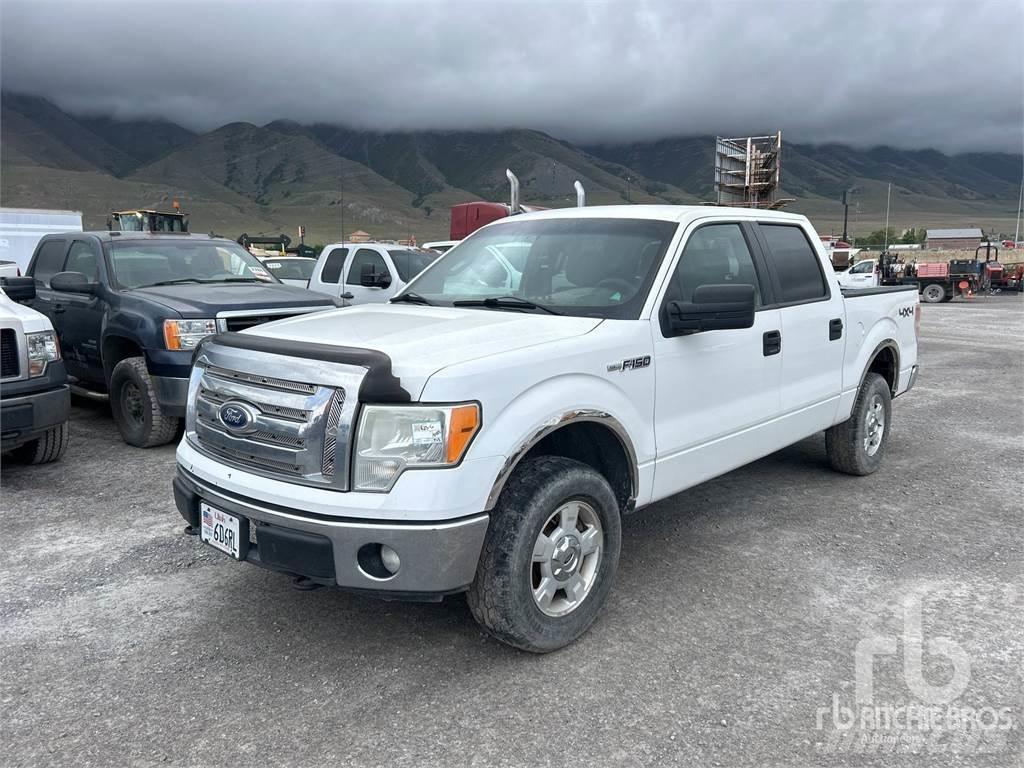Ford F-150 Madelkaubikud