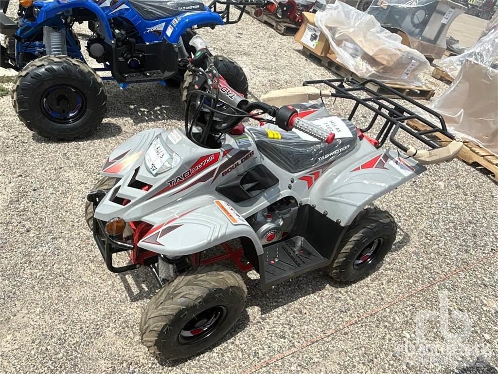  TAO B110 ATV-d