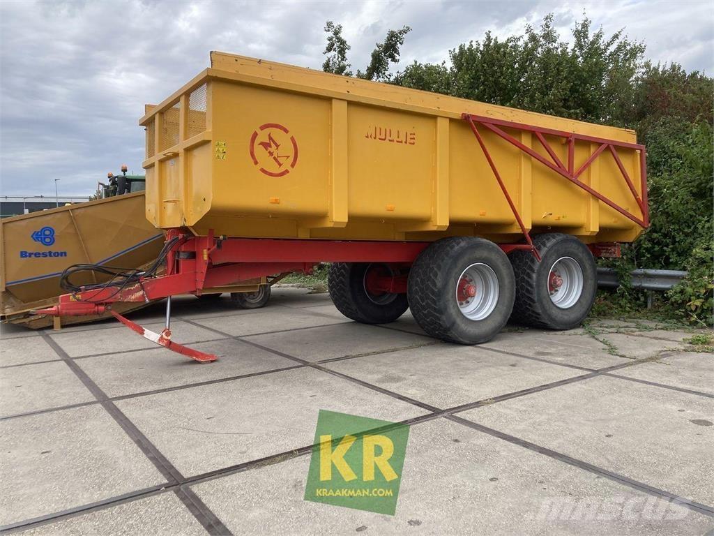 Mullié T16 Kallurhaagised