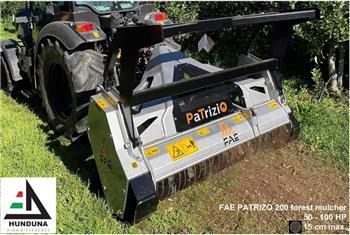 FAE PATRIZIO 200