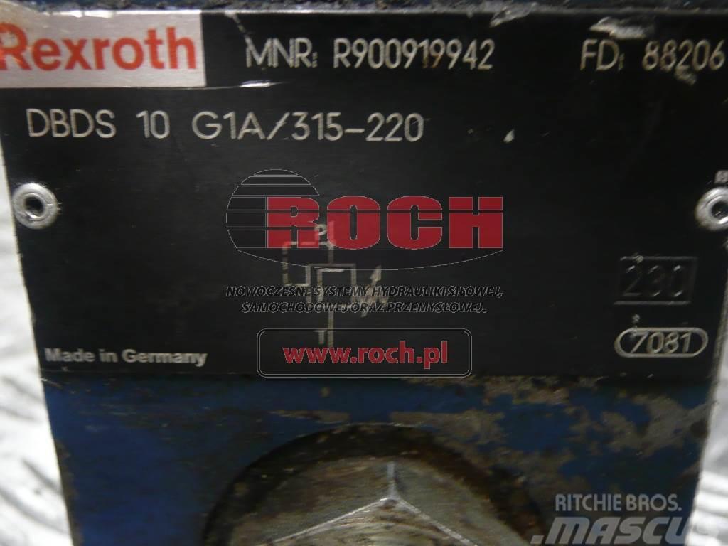 Rexroth R900919942 DBDS10G1A/315-220 Hydraulics