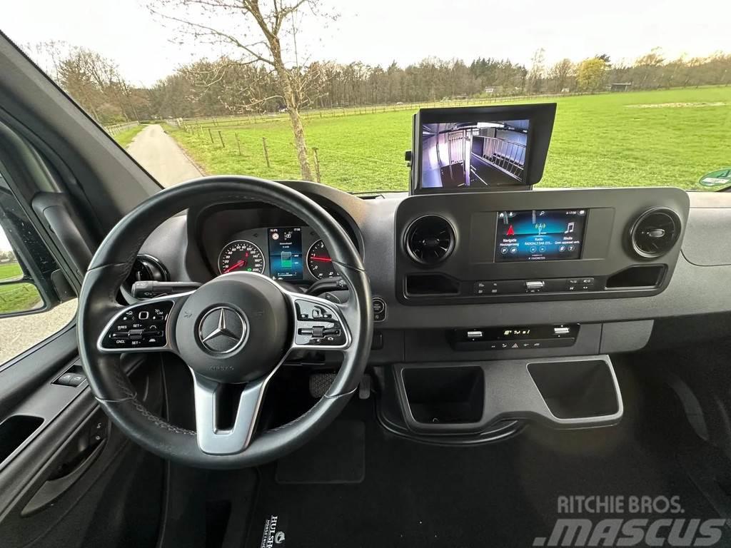 Mercedes-Benz Sprinter AMG 2-paards paardenvrachtwagen B-rijbewi Loomaveokid