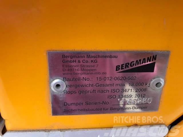Bergmann 4010 R Roomikkallurid