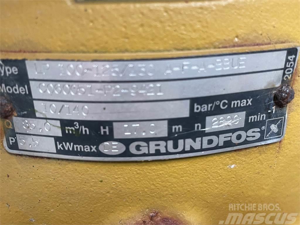 Grundfos type LP 100-125/130 A-F-A-BBUE pumpe Veepumbad